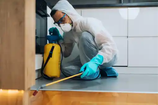 شركة مكافحة البق الشروق: 10 علامات خطيرة تؤكد وجود بق الفراش في غرفة نومك